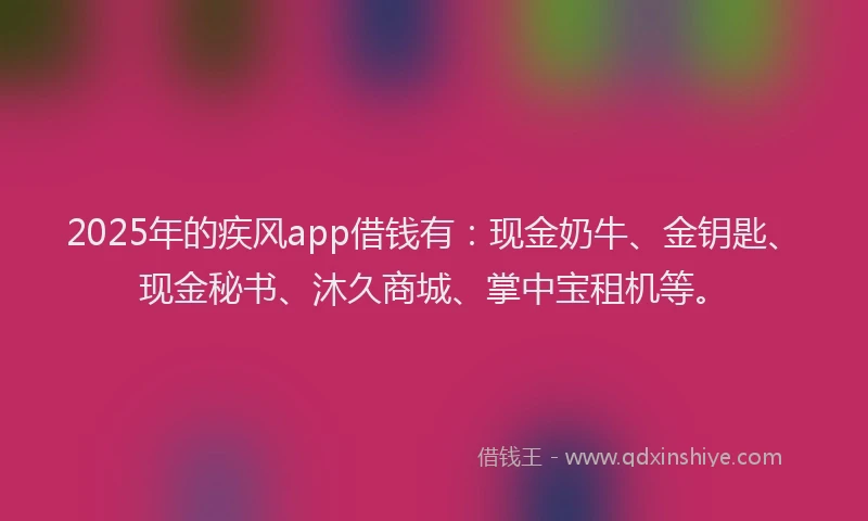 2025年的疾风app借钱有：现金奶牛、金钥匙、现金秘书、沐久商城、掌中宝租机等。