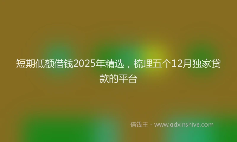 短期低额借钱2025年精选，梳理五个12月独家贷款的平台