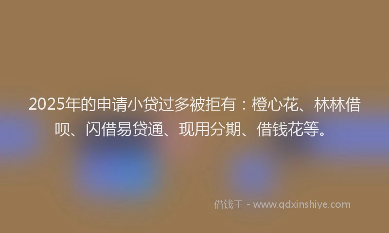 2025年的申请小贷过多被拒有：橙心花、林林借呗、闪借易贷通、现用分期、借钱花等。