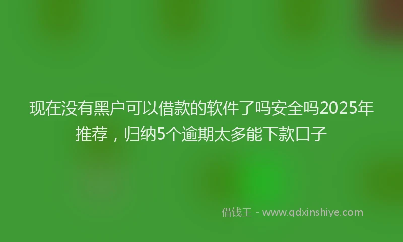现在没有黑户可以借款的软件了吗安全吗2025年推荐，归纳5个逾期太多能下款口子