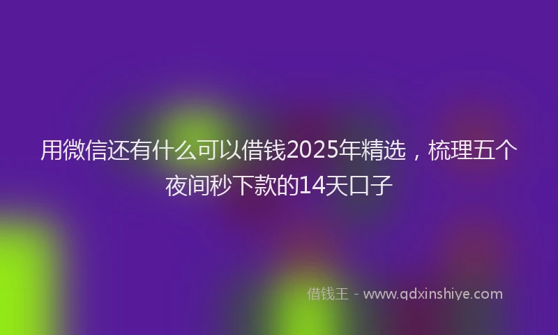 用微信还有什么可以借钱2025年精选，梳理五个夜间秒下款的14天口子