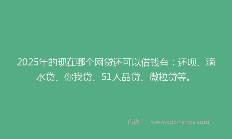 2025年的现在哪个网贷还可以借钱有：还呗、滴水贷、你我贷、51人品贷、微粒贷等。