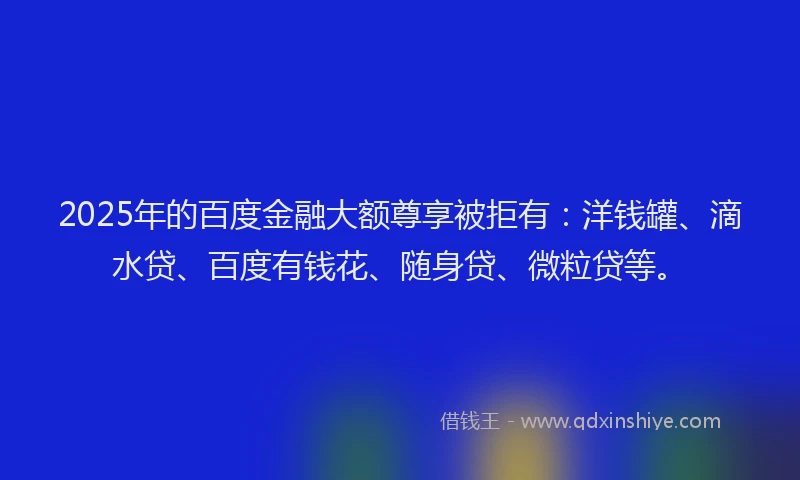 2025年的百度金融大额尊享被拒有：洋钱罐、滴水贷、百度有钱花、随身贷、微粒贷等。