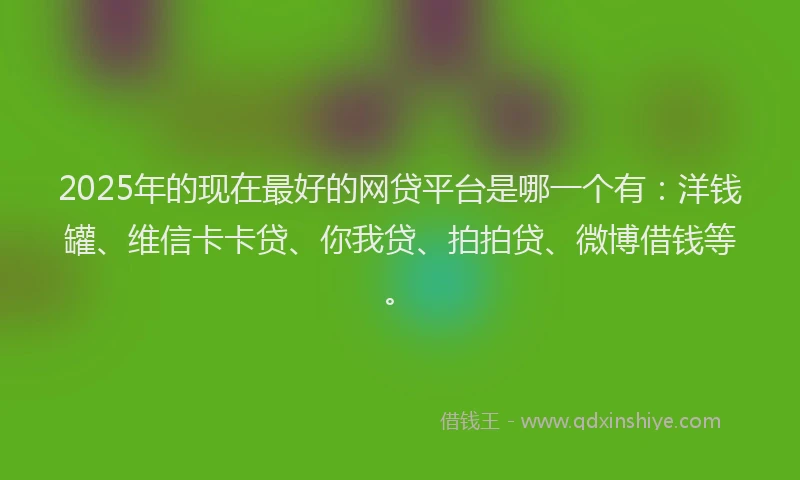 2025年的现在最好的网贷平台是哪一个有：洋钱罐、维信卡卡贷、你我贷、拍拍贷、微博借钱等。
