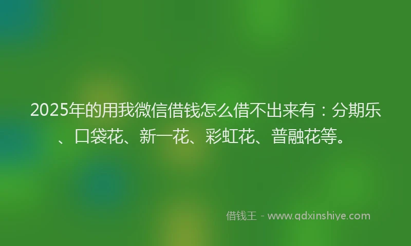 2025年的用我微信借钱怎么借不出来有：分期乐、口袋花、新一花、彩虹花、普融花等。