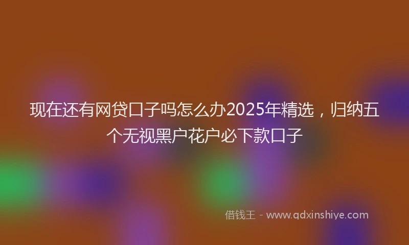 现在还有网贷口子吗怎么办2025年精选，归纳五个无视黑户花户必下款口子