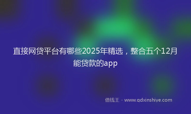 直接网贷平台有哪些2025年精选，整合五个12月能贷款的app