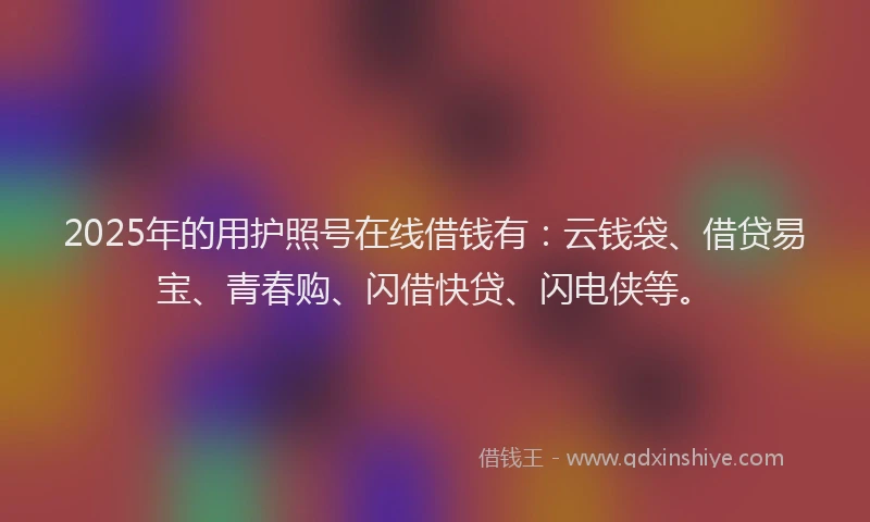 2025年的用护照号在线借钱有：云钱袋、借贷易宝、青春购、闪借快贷、闪电侠等。