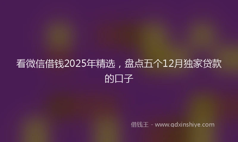 看微信借钱2025年精选，盘点五个12月独家贷款的口子
