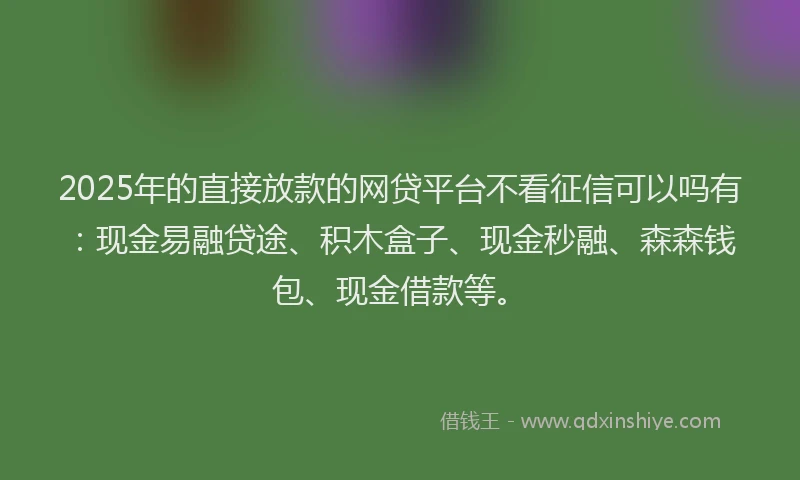 2025年的直接放款的网贷平台不看征信可以吗有：现金易融贷途、积木盒子、现金秒融、森森钱包、现金借款等。
