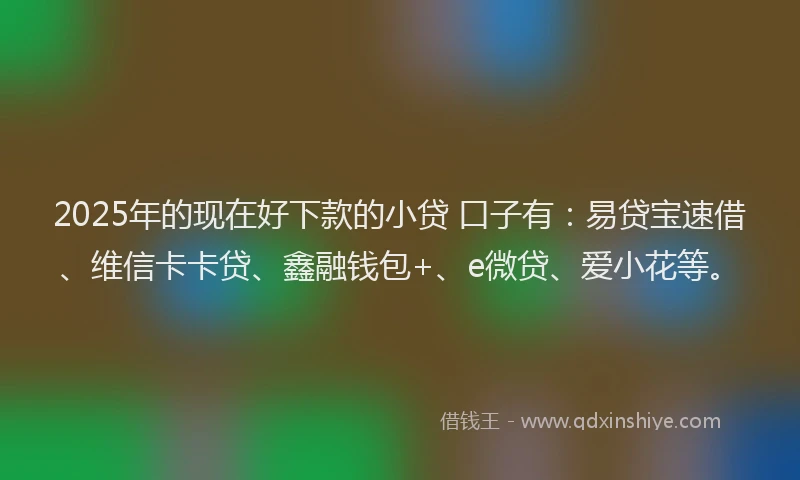 2025年的现在好下款的小贷 口子有：易贷宝速借、维信卡卡贷、鑫融钱包+、e微贷、爱小花等。