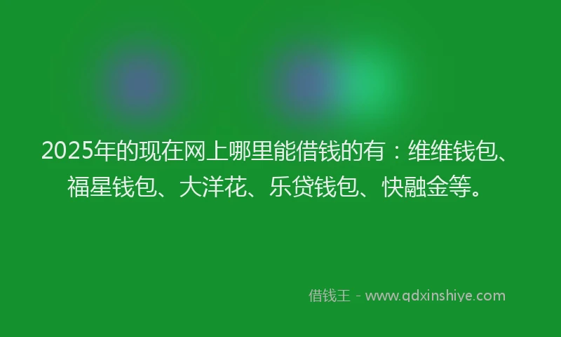 2025年的现在网上哪里能借钱的有：维维钱包、福星钱包、大洋花、乐贷钱包、快融金等。
