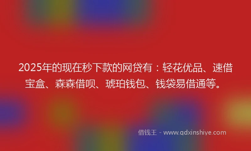 2025年的现在秒下款的网贷有：轻花优品、速借宝盒、森森借呗、琥珀钱包、钱袋易借通等。