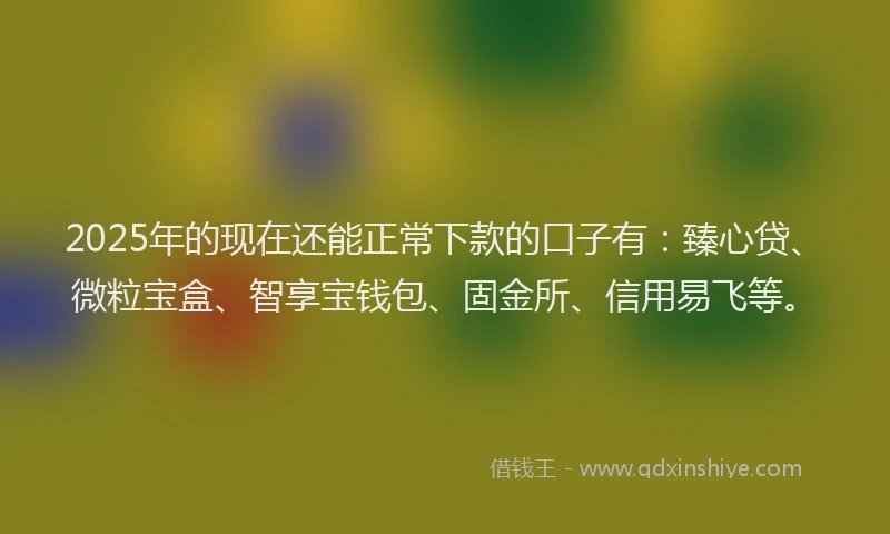 2025年的现在还能正常下款的口子有：臻心贷、微粒宝盒、智享宝钱包、固金所、信用易飞等。
