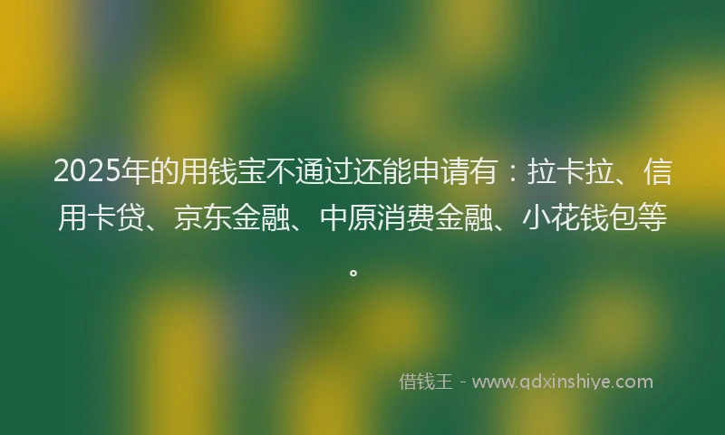 2025年的用钱宝不通过还能申请有：拉卡拉、信用卡贷、京东金融、中原消费金融、小花钱包等。
