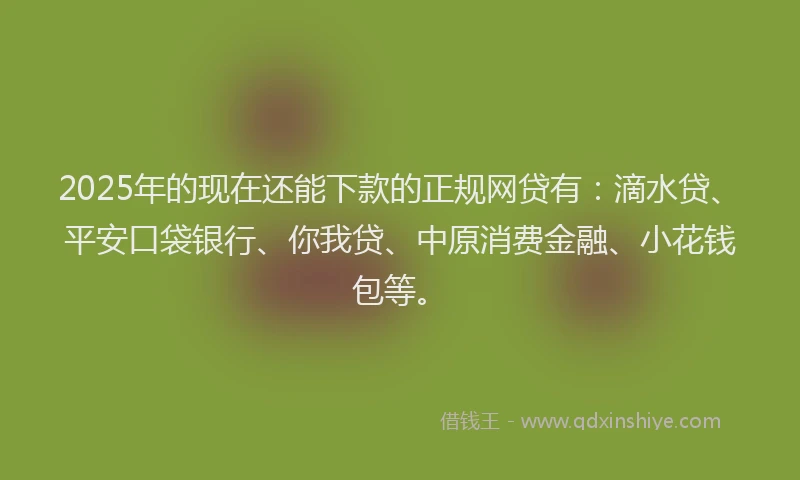 2025年的现在还能下款的正规网贷有：滴水贷、平安口袋银行、你我贷、中原消费金融、小花钱包等。