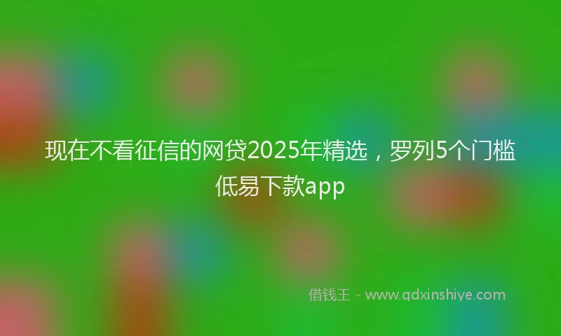 现在不看征信的网贷2025年精选，罗列5个门槛低易下款app
