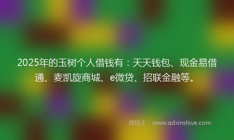 2025年的玉树个人借钱有：天天钱包、现金易借通、麦凯旋商城、e微贷、招联金融等。
