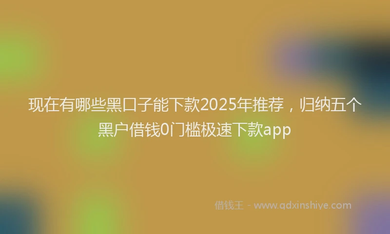 现在有哪些黑口子能下款2025年推荐，归纳五个黑户借钱0门槛极速下款app