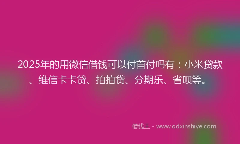 2025年的用微信借钱可以付首付吗有：小米贷款、维信卡卡贷、拍拍贷、分期乐、省呗等。
