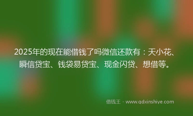 2025年的现在能借钱了吗微信还款有：天小花、瞬信贷宝、钱袋易贷宝、现金闪贷、想借等。