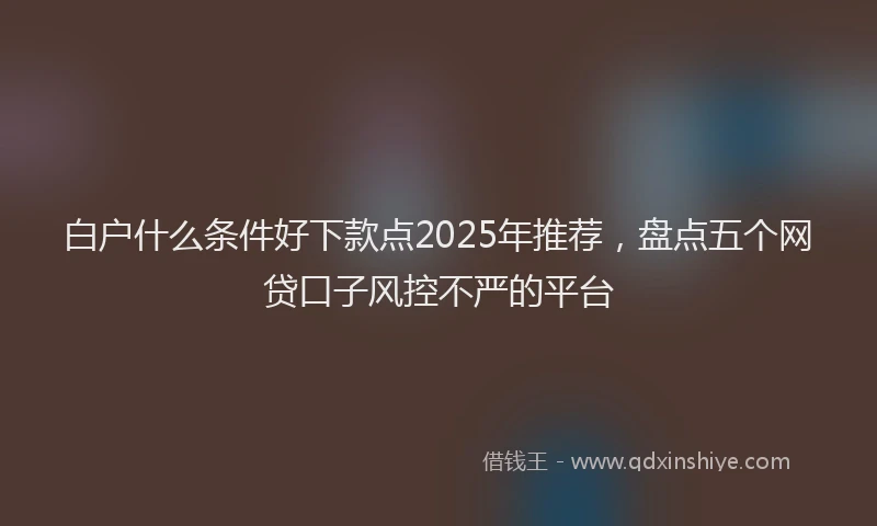 白户什么条件好下款点2025年推荐，盘点五个网贷口子风控不严的平台
