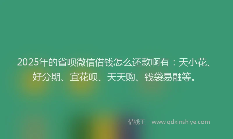 2025年的省呗微信借钱怎么还款啊有：天小花、好分期、宜花呗、天天购、钱袋易融等。