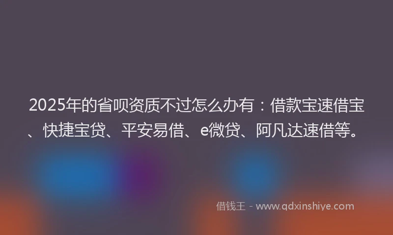 2025年的省呗资质不过怎么办有：借款宝速借宝、快捷宝贷、平安易借、e微贷、阿凡达速借等。