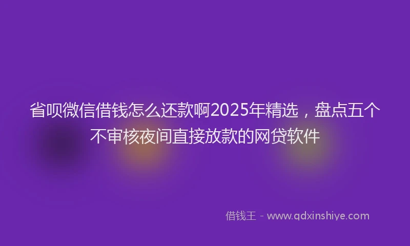 省呗微信借钱怎么还款啊2025年精选，盘点五个不审核夜间直接放款的网贷软件