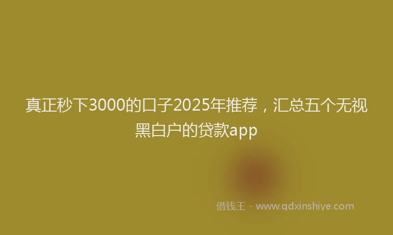 真正秒下3000的口子2025年推荐，汇总五个无视黑白户的贷款app