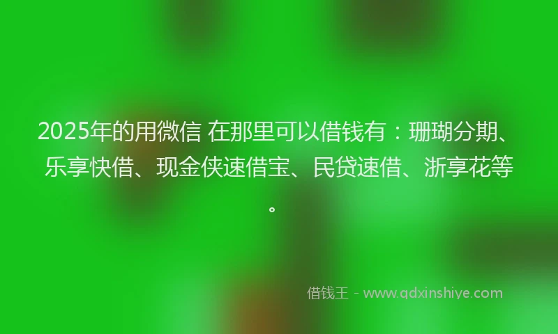 2025年的用微信 在那里可以借钱有：珊瑚分期、乐享快借、现金侠速借宝、民贷速借、浙享花等。