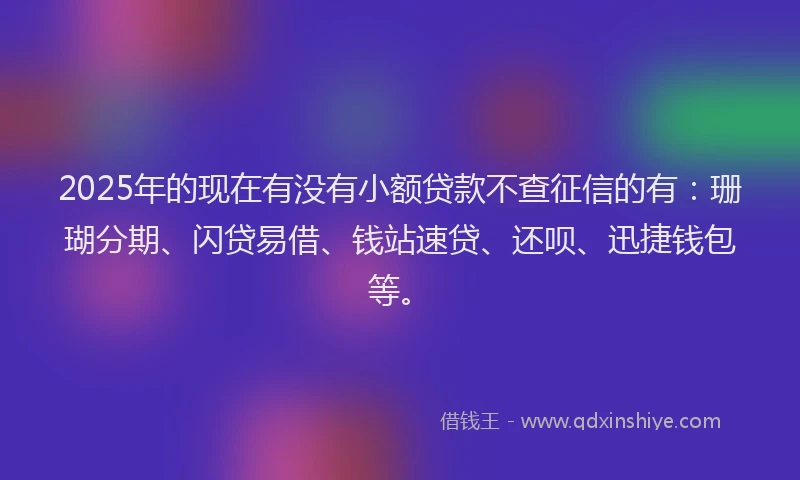 2025年的现在有没有小额贷款不查征信的有：珊瑚分期、闪贷易借、钱站速贷、还呗、迅捷钱包等。