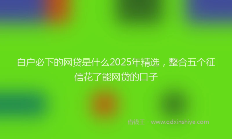 白户必下的网贷是什么2025年精选，整合五个征信花了能网贷的口子