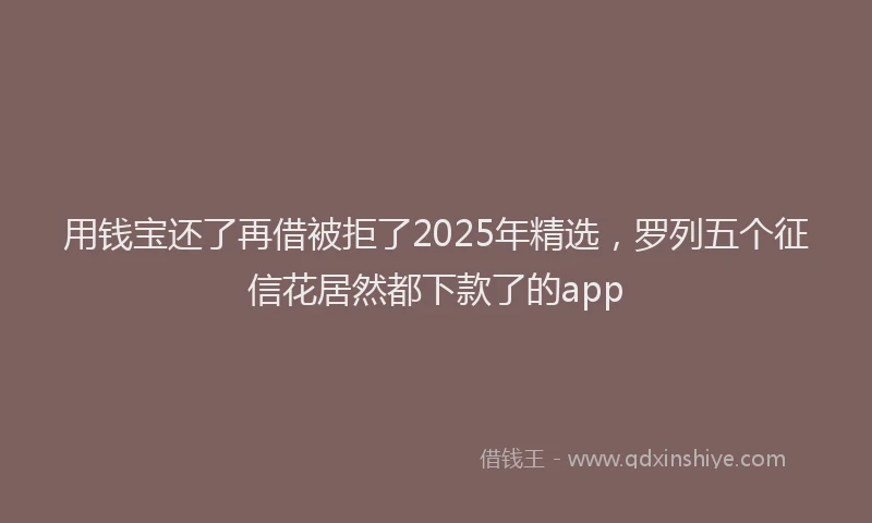 用钱宝还了再借被拒了2025年精选，罗列五个征信花居然都下款了的app