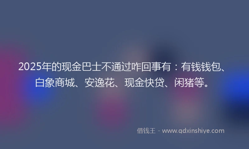 2025年的现金巴士不通过咋回事有：有钱钱包、白象商城、安逸花、现金快贷、闲猪等。