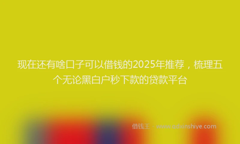 现在还有啥口子可以借钱的2025年推荐，梳理五个无论黑白户秒下款的贷款平台