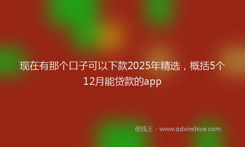 现在有那个口子可以下款2025年精选，概括5个12月能贷款的app