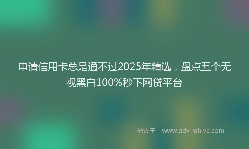 申请信用卡总是通不过2025年精选，盘点五个无视黑白100%秒下网贷平台