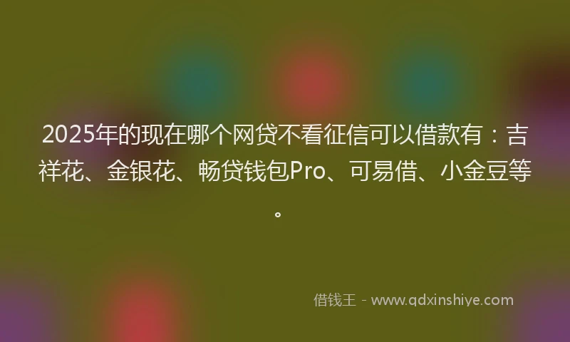 2025年的现在哪个网贷不看征信可以借款有：吉祥花、金银花、畅贷钱包Pro、可易借、小金豆等。