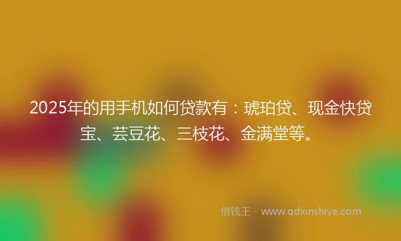 2025年的用手机如何贷款有：琥珀贷、现金快贷宝、芸豆花、三枝花、金满堂等。