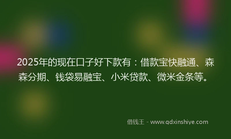 2025年的现在口子好下款有:借款宝快融通、森森分期、钱袋易融宝、小米贷款、微米金条等。