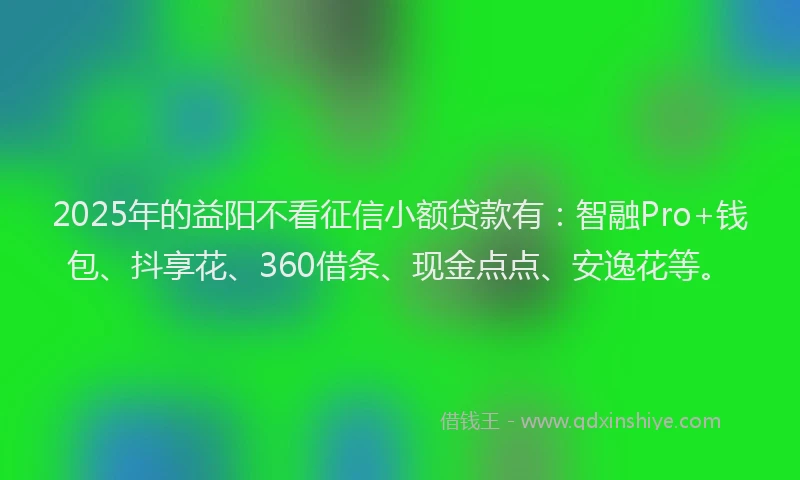 2025年的益阳不看征信小额贷款有：智融Pro+钱包、抖享花、360借条、现金点点、安逸花等。