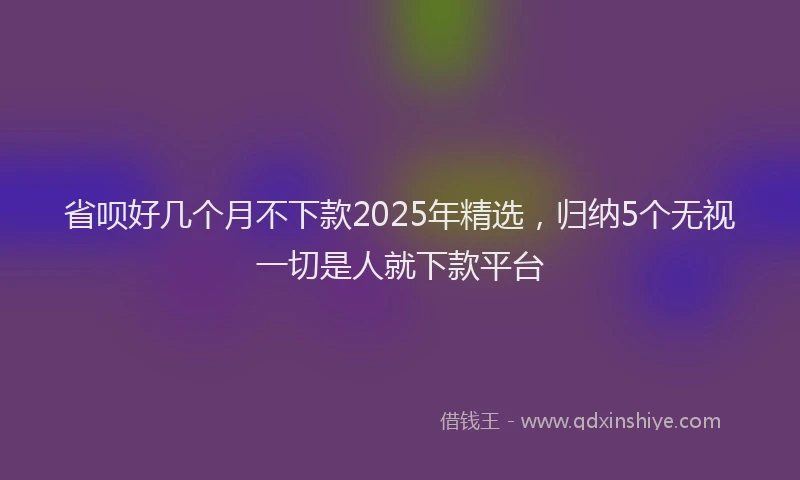 省呗好几个月不下款2025年精选，归纳5个无视一切是人就下款平台