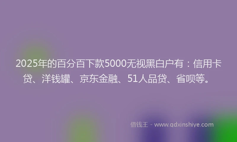 2025年的百分百下款5000无视黑白户有：信用卡贷、洋钱罐、京东金融、51人品贷、省呗等。