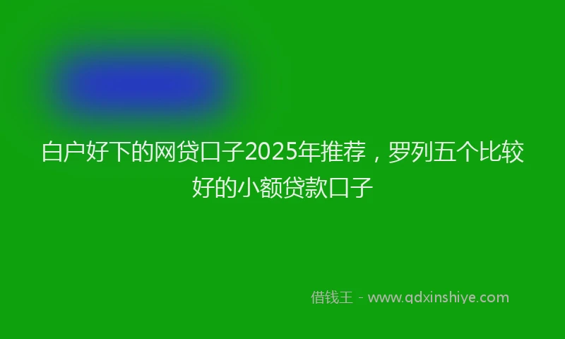 白户好下的网贷口子2025年推荐，罗列五个比较好的小额贷款口子