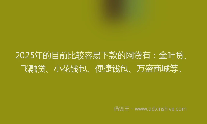 2025年的目前比较容易下款的网贷有：金叶贷、飞融贷、小花钱包、便捷钱包、万盛商城等。