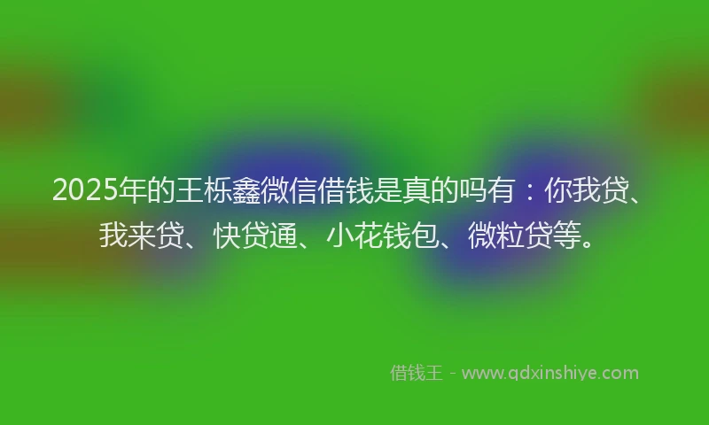 2025年的王栎鑫微信借钱是真的吗有：你我贷、我来贷、快贷通、小花钱包、微粒贷等。