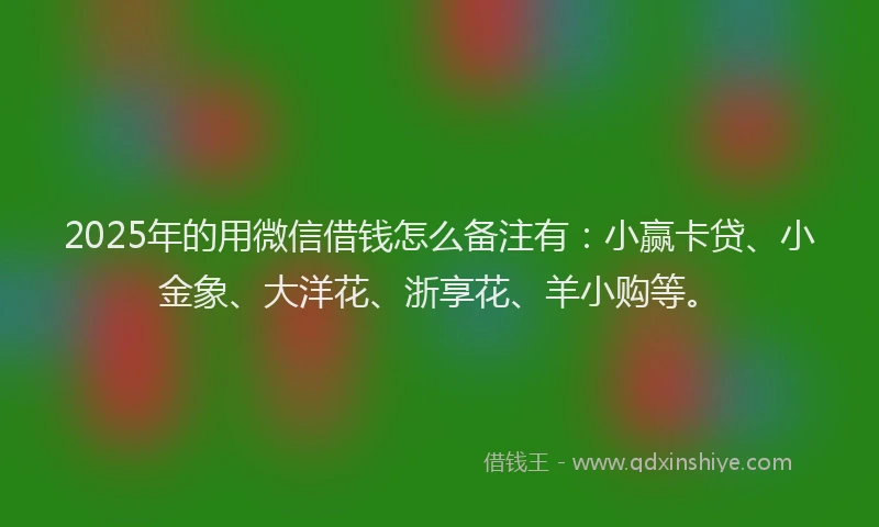 2025年的用微信借钱怎么备注有：小赢卡贷、小金象、大洋花、浙享花、羊小购等。