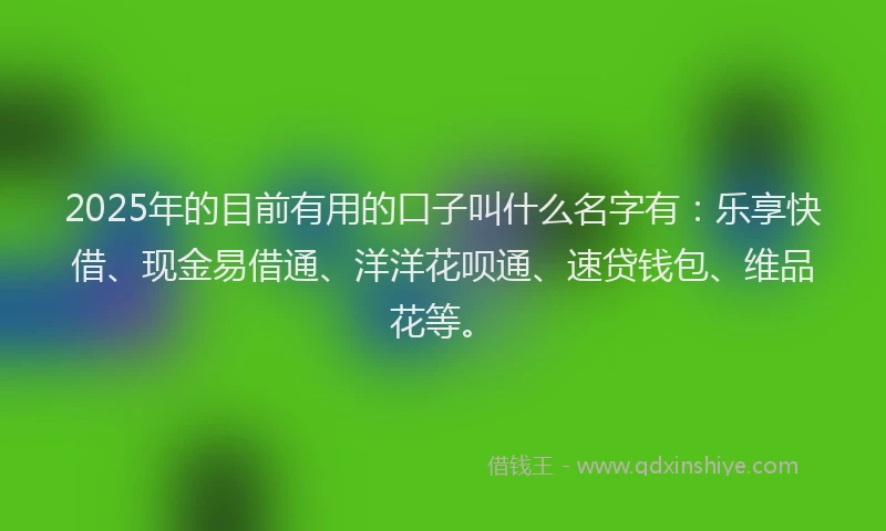 2025年的目前有用的口子叫什么名字有：乐享快借、现金易借通、洋洋花呗通、速贷钱包、维品花等。
