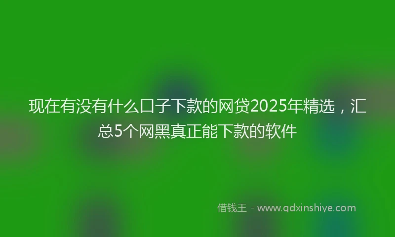 现在有没有什么口子下款的网贷2025年精选，汇总5个网黑真正能下款的软件